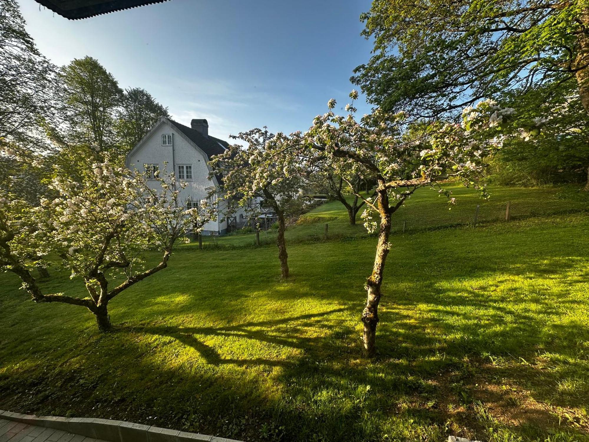 Luxury 2 Rooms Residence At The Heart Of Borås Exterior foto